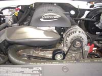 DSCI0335